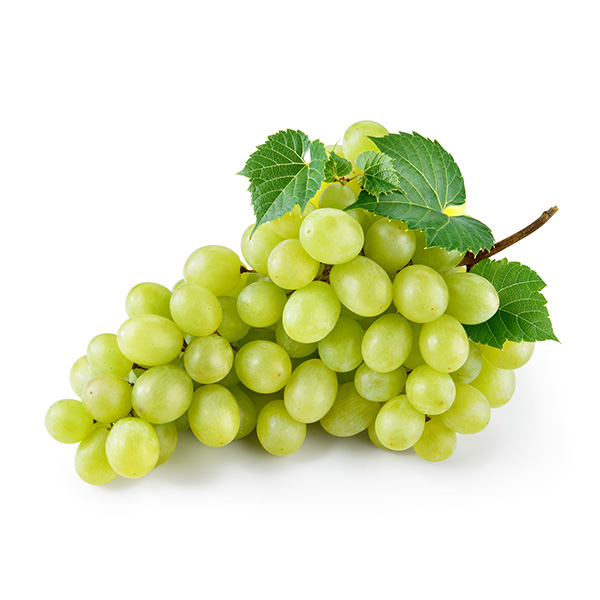 Uvas